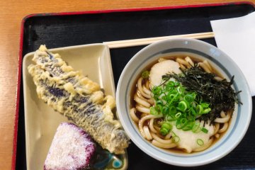 Udon