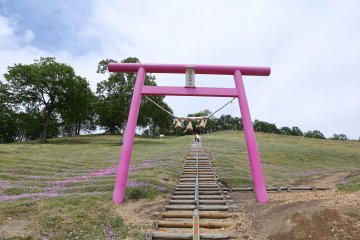 Colorful Torii