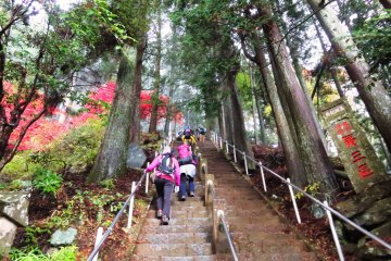 The first of many stairs