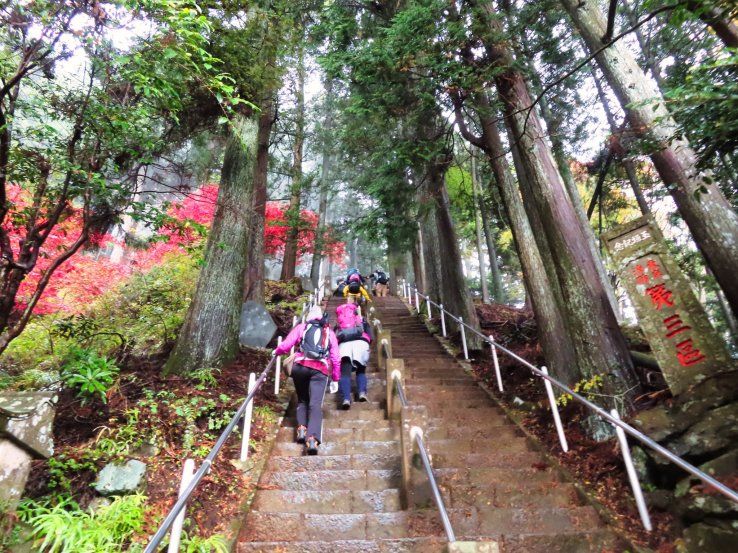 The first of many stairs