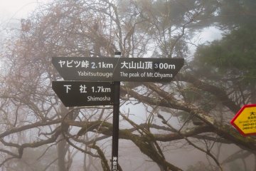 Many signs are in English