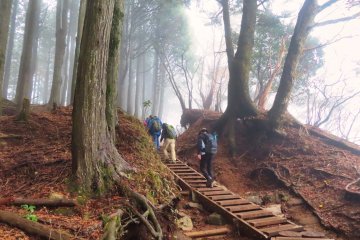 Wood steps
