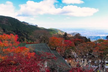 Fall colors