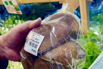 Big shiitake mushrooms