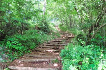 Steps up to the trail at Mt. Azuma