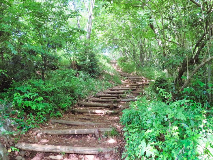 Steps up to the trail at Mt. Azuma