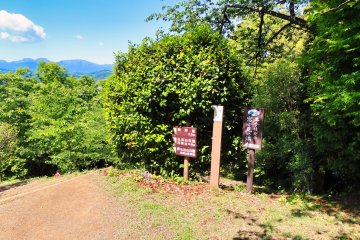 Good trail markers