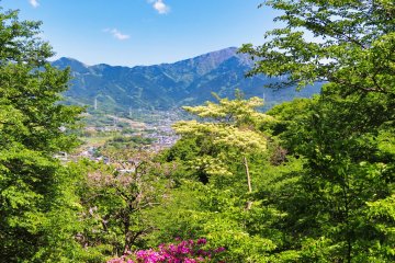 Mt. Oyama off in the distance