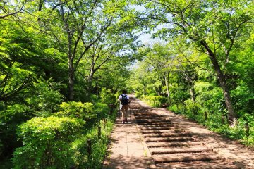 Leading up to Mt. Kobo