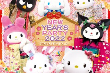New Year's Party 2022 2021-2022