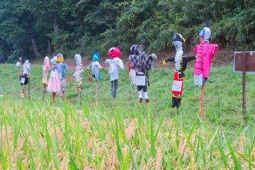 Oct 4th; Scarecrows protecting rice paddies