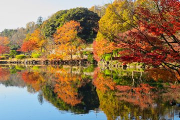 Dec 8th; Fall at Oike Pond