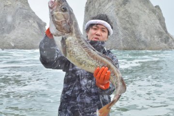 Miyako Pacific Cod Festival 2026