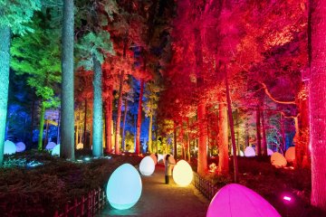 TeamLab Kairakuen Light Festival 2022