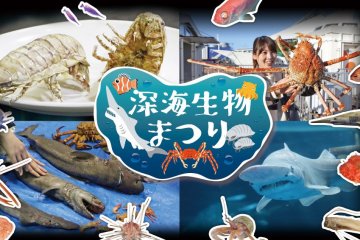 Deep Sea Festival 2021-2022