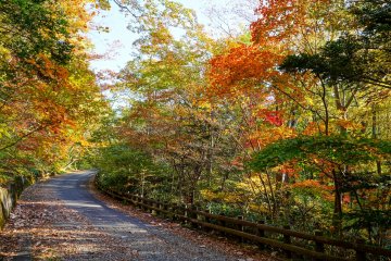 Picturesque path home as a reward for weary travelers
