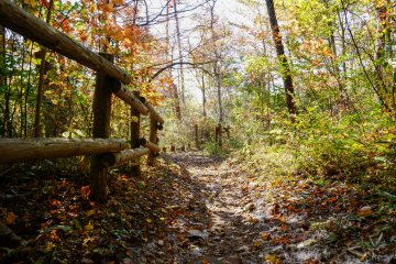 A quaint fence is the only hint of humanity out here in nature