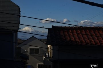 The Holy Light