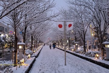 Dankazura, the raised walkway leading up to the shrine.