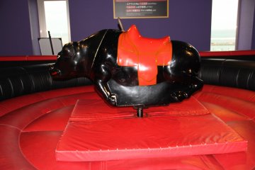 <p>Ride the bull if you dare</p>