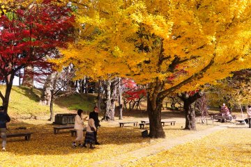 Tsurugajo Castle grounds