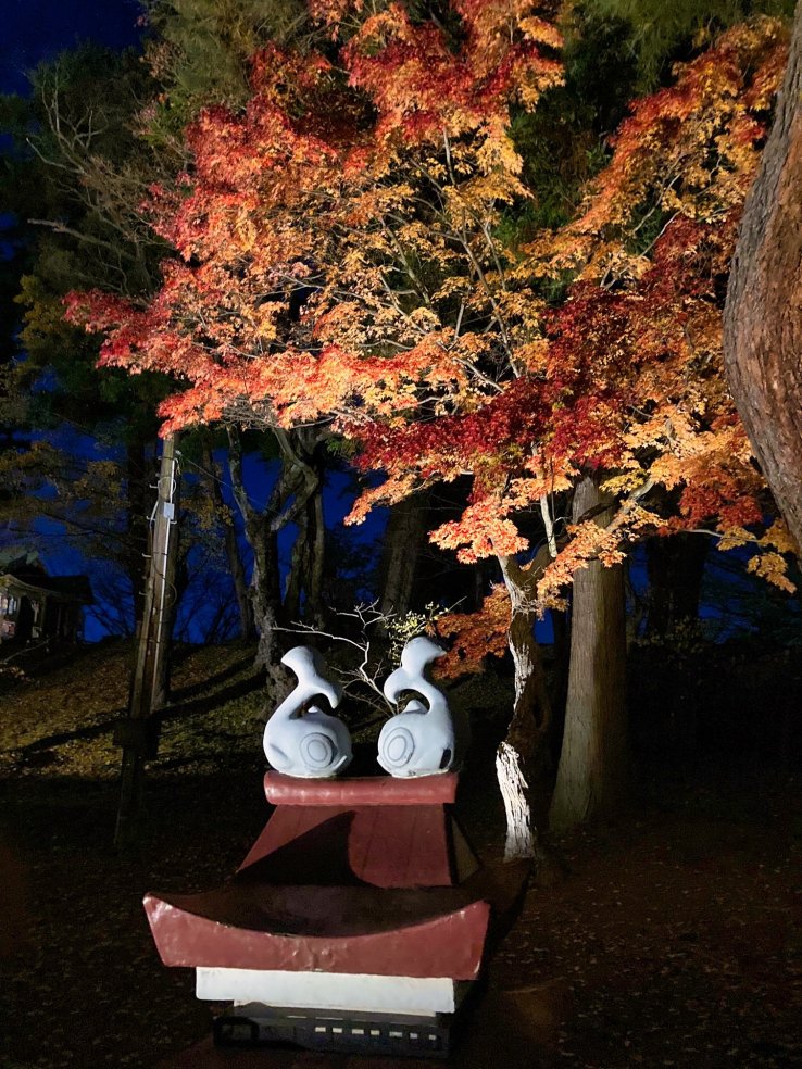 Night time at the castle
