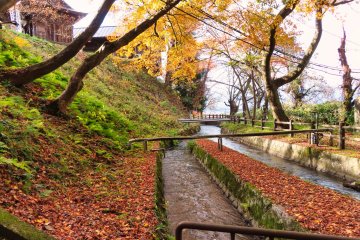 Waterway from an underground river at Sazaedo