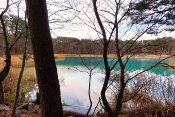Bentennuma