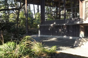 The garden and studio