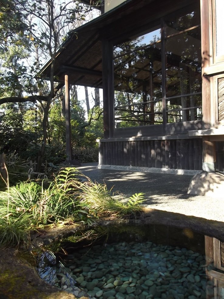 The garden and studio