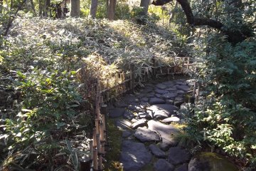 Follow the dragon skin road!