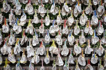 Prayers written on oyster shells.