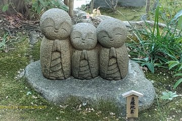 A group of three jizos amongst hundreds.