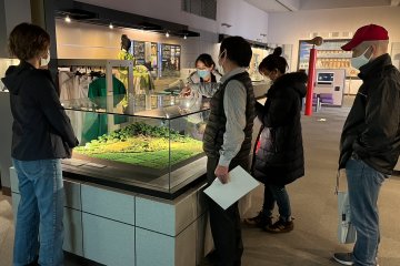 Viewing museum exhibits