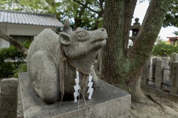황소 머리를 만지면 지식을 얻을 것이라는 전설이 있다.