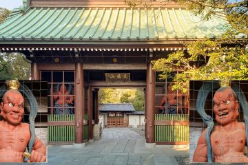 The Nio-mon gate
