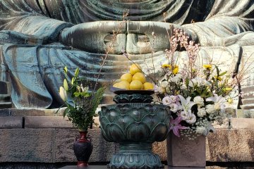 Food and floral offerings/webbed hands