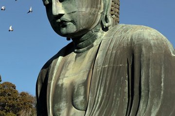 The Daibutsu or Great Buddha of Kamakura