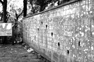 A wall for birdwatchers