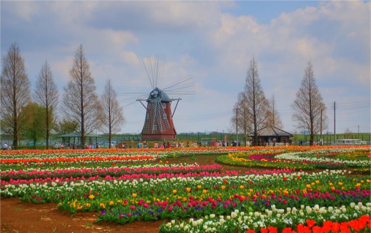 Like a little slice of the Netherlands!