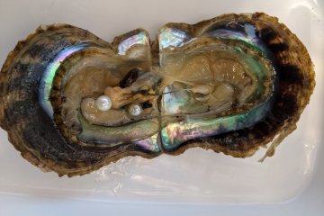Two pearls in one oyster!