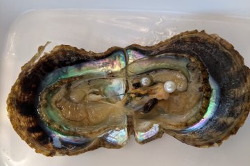 Harvest Your Own Pearls