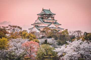 Cherry Blossom Forecast 2022