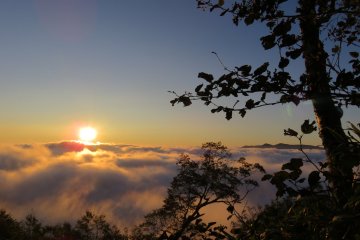 Sunrise over the Unkai, a sea of clouds