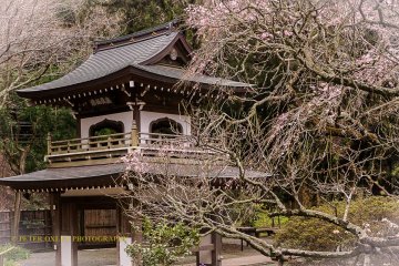Jochiji Temple