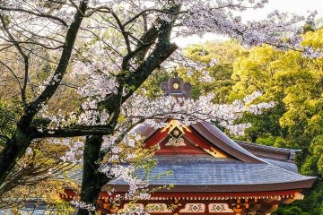 The Maidan, Tsurugaoka Hachimangu Shrine