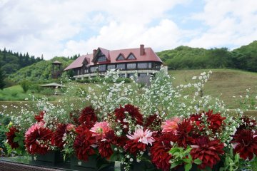 Akita International Dahlia Garden