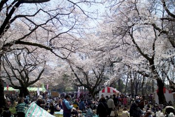 Koganei Park
