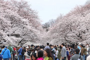 Ueno Park
