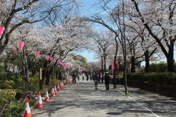 Sumida Park